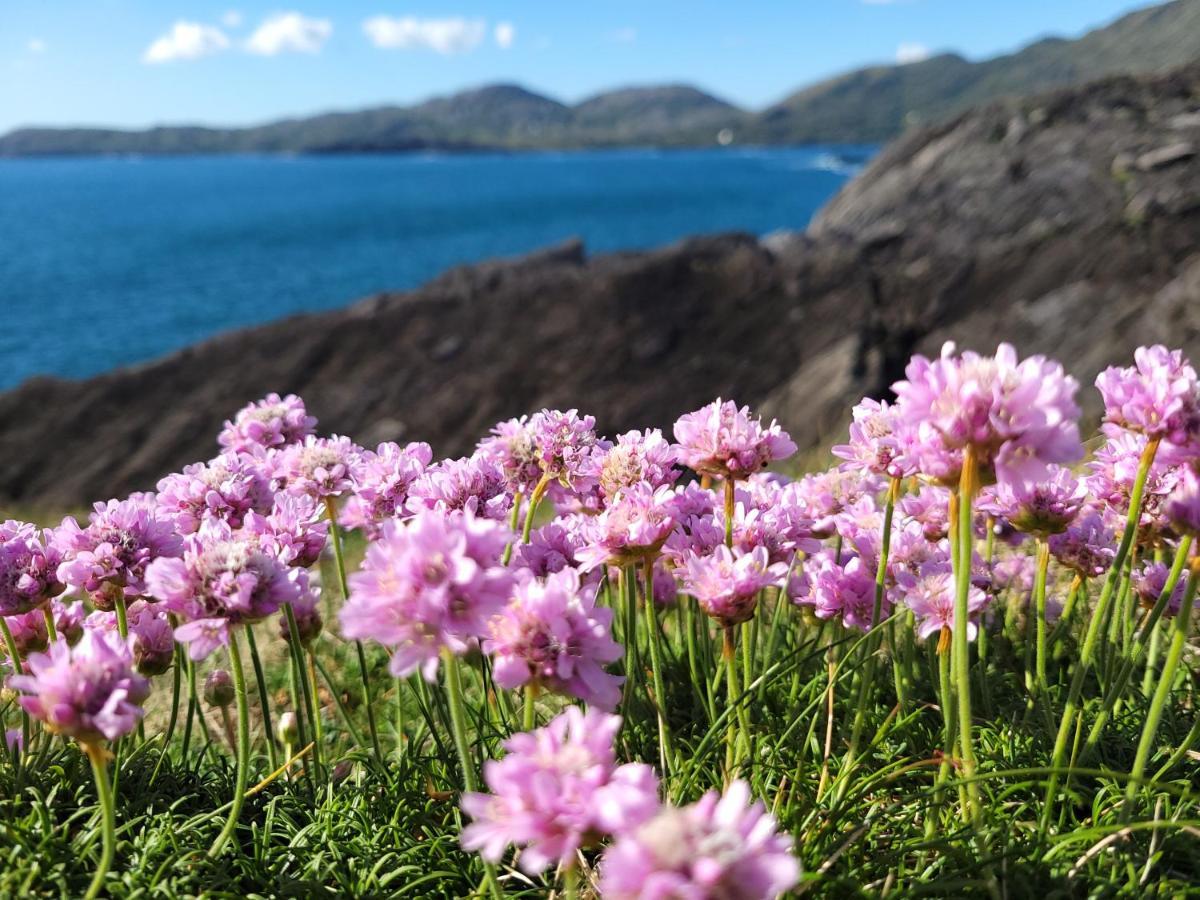Anam Sona Seaview B&B Caherkeen エクステリア 写真
